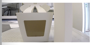 Dummines - Lasser Cut